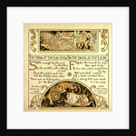 The Stag in the Ox Stall the Deer and the Lion by Anonymous