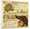 Porcupine Snake and Company the Bear and the Bees by Anonymous