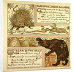 Porcupine Snake and Company the Bear and the Bees by Anonymous