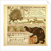 Porcupine Snake and Company the Bear and the Bees by Anonymous