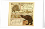 Porcupine Snake and Company the Bear and the Bees by Anonymous