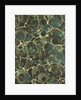 Pattern by Anonymous