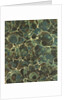 Pattern by Anonymous