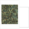 Pattern by Anonymous