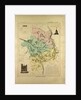 Map of Cher France by Anonymous