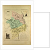 Map of Cher France by Anonymous