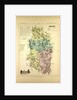 Map of Meuse France by Anonymous