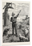 I Am Shepherd to Another Man. As You Like It. Shakspeare on an Australian Sheep-Run by Anonymous