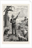 I Am Shepherd to Another Man. As You Like It. Shakspeare on an Australian Sheep-Run by Anonymous