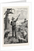 I Am Shepherd to Another Man. As You Like It. Shakspeare on an Australian Sheep-Run by Anonymous