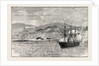 The Chilian Sloop O'Higgins Firing on the Garrison in Valparaiso Harbour 1891 by Anonymous
