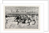 Football Match Between England and Scotland in the Athletic Grounds Richmond London UK 1891 by Anonymous