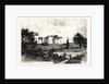 Willey Park England by Anonymous