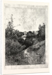 Willey Park: The House from the Park. by Anonymous