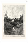 Willey Park: The House from the Park. by Anonymous