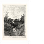 Willey Park: The House from the Park. by Anonymous