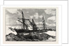 The Great Gale and Snow Storm: Wreck of the Bay of Panama Near Falmouth from a Sketch Ey H.S. Tuke by Anonymous