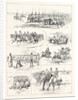 Cavalry Manoeuvres of the Bangalore Division Madras Presidency India by Anonymous