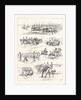 Cavalry Manoeuvres of the Bangalore Division Madras Presidency India by Anonymous