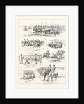 Cavalry Manoeuvres of the Bangalore Division Madras Presidency India by Anonymous