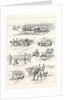 Cavalry Manoeuvres of the Bangalore Division Madras Presidency India by Anonymous