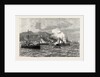 The Civil War in Chile: Bombardment of Iquique. by Anonymous