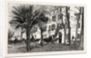 The Queen at Grasse: Visit to M. Chiris's Perfume-Manufactory France by Anonymous