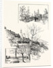 The Villa St. Georges Grasse Belonging to M. Chiris Senator of the French Republic by Anonymous