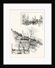 The Villa St. Georges Grasse Belonging to M. Chiris Senator of the French Republic by Anonymous
