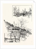 The Villa St. Georges Grasse Belonging to M. Chiris Senator of the French Republic by Anonymous