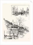 The Villa St. Georges Grasse Belonging to M. Chiris Senator of the French Republic by Anonymous