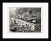 Middlesborough Kentucky: Coke Ovens USA by Anonymous