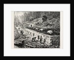 Middlesborough Kentucky: Coke Ovens USA by Anonymous