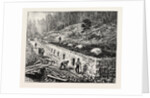 Middlesborough Kentucky: Coke Ovens USA by Anonymous