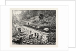 Middlesborough Kentucky: Coke Ovens USA by Anonymous