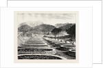 Middlesborough Kentucky: Charcoal Furnace USA by Anonymous