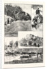 The Expedition to Mashonaland by Anonymous