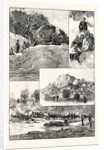 The Expedition to Mashonaland by Anonymous