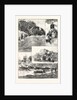 The Expedition to Mashonaland by Anonymous