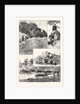 The Expedition to Mashonaland by Anonymous