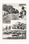 The Expedition to Mashonaland by Anonymous