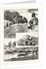 The Expedition to Mashonaland by Anonymous