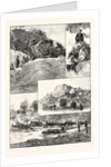 The Expedition to Mashonaland by Anonymous
