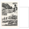 The Expedition to Mashonaland by Anonymous