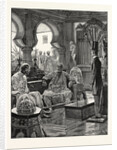 A Visit to an Indian Nawab by Anonymous