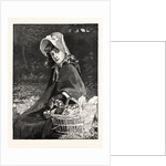 Chickens by Anonymous