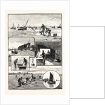 Gathering Cockles and Winkles on the Essex Coast UK by Anonymous