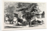 The Manipur Massacres: Palace Enclosure at Manipur Where Mr. Quinton and Other Englishmen Were Killed. by Anonymous
