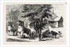 The Manipur Massacres: Palace Enclosure at Manipur Where Mr. Quinton and Other Englishmen Were Killed. by Anonymous