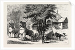 The Manipur Massacres: Palace Enclosure at Manipur Where Mr. Quinton and Other Englishmen Were Killed. by Anonymous